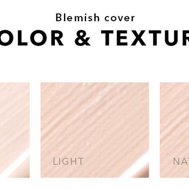 Hanskin Blemish Cover Concealer 12g - CUTIPOP