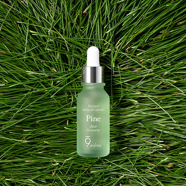 9wishes Amazing Pine Ampoule Serum 25ml - CUTIPOP