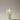 AROMATICA Rosemary Root Enhancer - CUTIPOP
