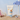 ROUND LAB Baby Mild Sunscreen SPF 50+ PA++++ 60ml