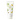 SKINFOOD Garden Bean Gentle Gel Foam Cleanser 200ml