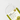 JAYJUN Olive Nutrition Mask 1 STEP 20ml*10P