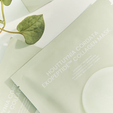 Briskin Houttuynia Cordata Exopeptide Collagen Mask Sheet (1P/5P) - CUTIPOP