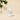 9wishes Vegan Collagen Ampoule 30ml - CUTIPOP