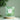 JAYJUN It Began Cica Hydrogel 21g (1P/5P) - CUTIPOP