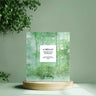 JAYJUN It Began Cica Hydrogel 21g (1P/5P) - CUTIPOP