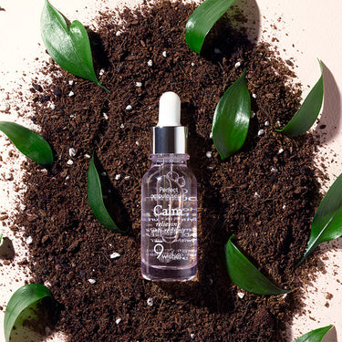 9wishes Calm Ampoule Serum 25ml - CUTIPOP
