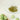 Beauty of Joseon Green Plum Refreshing Cleanser 100ml - CUTIPOP
