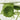 Beauty of Joseon Centella Asiatica Calming Mask Sheet (10 Sheets) - CUTIPOP