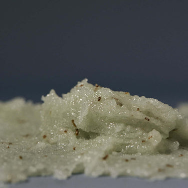 AROMATICA Body Scrub 250g [2types] - CUTIPOP