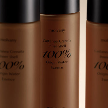 MOLVANY Castanea Crenata Inner Shell 100% Origin Water Essence 150ml