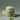AROMATICA Body Scrub 250g [2types] - CUTIPOP