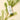 MyDahlia Barrier & Moisture Foot Stick 19g - CUTIPOP