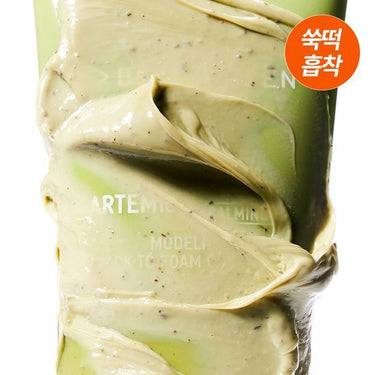 [NEW] BRINGGREEN Artemisia Calming EX Modeling-to-Foam Cleanser 120mL