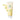 AMPLE:N Purifying Shot Pumpkin Enzyme Peeling Gel 100ml
