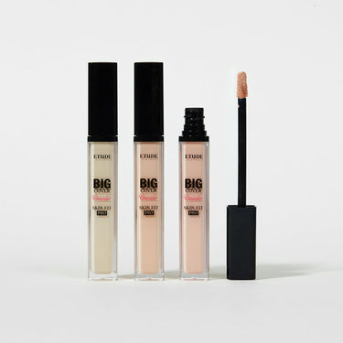ETUDE Big Cover Skin Fit Concealer PRO AniMelodic