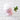 ETUDE My Beauty Tool Jellyfish Silicone Brush AniMelodic