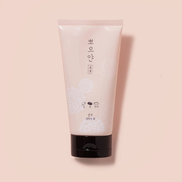 ETUDE PPOYAN Cleansing Foam 150ml AniMelodic