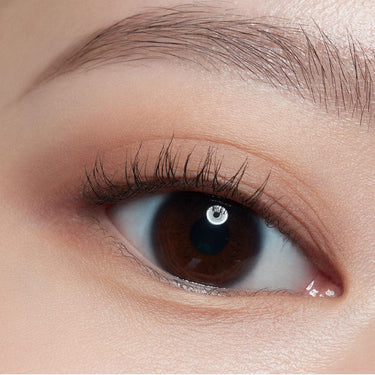 HERA Quad Eye Color AniMelodic