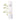 JUNGSAEMMOOL Skin Setting Water Sun Base 40ml AniMelodic