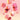 KAJA Cheeky Stamp AniMelodic