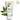 KLORANE Reparing Very Dry Hair Treatment with Cupuacu 200mL (NEW) AniMelodic