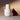 ODYSSEY Chapter V Anti-oxidant Lighthouse Moisturizer 110mL AniMelodic