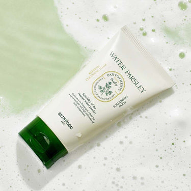 SKINFOOD Pantothenic Water Parsley Refresh Cleansing Foam AniMelodic