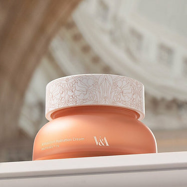 V&A BEAUTY Antioxidant Hydration Cream 50mL AniMelodic