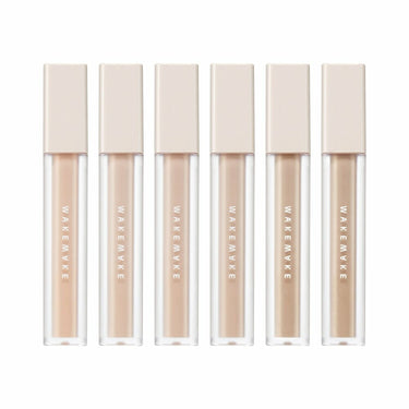 WAKEMAKE Defining Cover Concealer SPF30 / PA++ AniMelodic