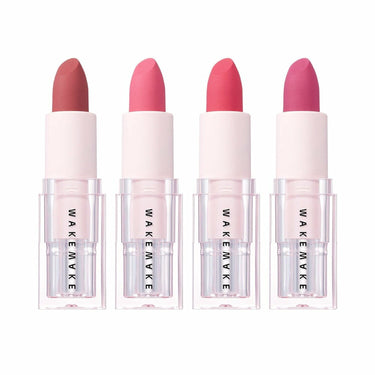 WAKEMAKE Velvet Blurring Matte Stick AniMelodic