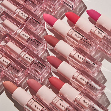 WAKEMAKE Velvet Blurring Matte Stick AniMelodic