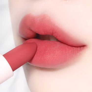 WAKEMAKE Velvet Blurring Matte Stick AniMelodic