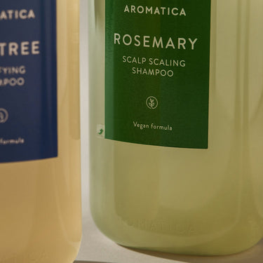 AROMATICA Rosemary Scalp Scaling Shampoo (180ml/400ml/1L) - CUTIPOP
