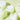 EIIO Green Mint Pore Cleansing Balm 100ml