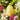 URIID Neroli Garden Hand Cream 50g [3 Types] - CUTIPOP