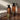 Healingbird Ultra Protein Intensive Ampoule Pack Shampoo 750ml