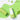 Ariul Green Vitamin C Multi Balm Soothing Stick 24g