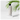 BORNTREE Like Forest Root Lotion 210ml - CUTIPOP
