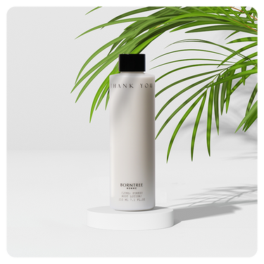 BORNTREE Like Forest Root Lotion 210ml - CUTIPOP