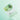 JAYJUN Tea Tree Calm Relief Mask 1 STEP 23ml*10P - CUTIPOP