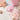 colorgram Shade Re-Forming Shadow Palette AniMelodic