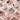 Dear Dahila Paradise Dual Palette 4g - CUTIPOP