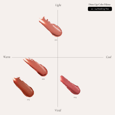 Dinto Blur-Finish Lip Tint 3.5g - CUTIPOP