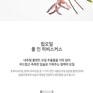 2aN Lip Oil (Fall in Hibiscus) 3g
